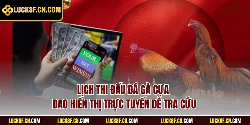 Lịch thi đấu đá gà cựa dao hiển thị trực tuyến dễ tra cứu